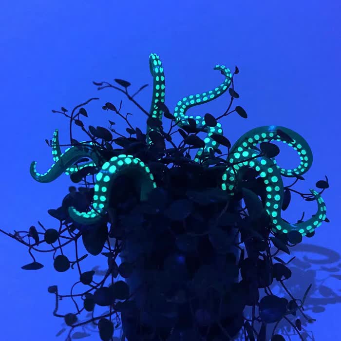 観葉植物アクセサリー 装飾 - 海の怪物触手8個セット - Etsy 日本